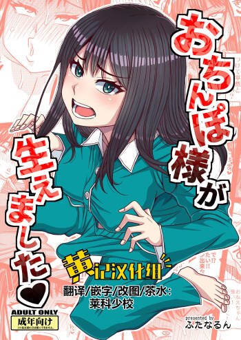 Ochinpo-sama ga Haemashita cover