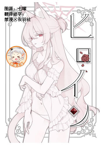 Heroine cover