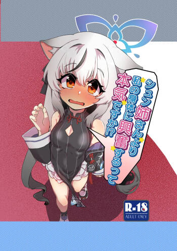 シュン姉さんより私の身体に興奮するって本気ですか!? cover