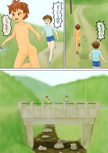 ●a_2 cover