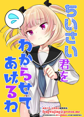Chiisai Kimi o Wakarasasete Ageru ne cover