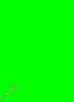 comic special training