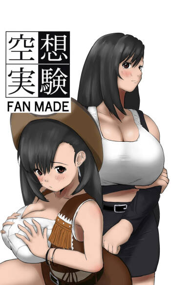 空想実験ファンメイド 〜追憶のティファ編〜 cover