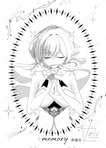 memory cover