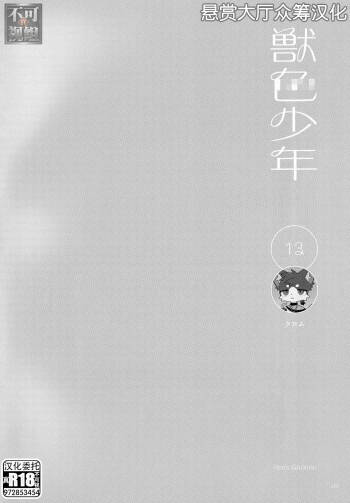 13 cover