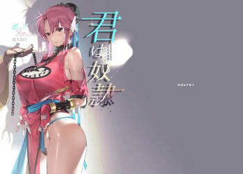 Kimi wa Dorei. cover