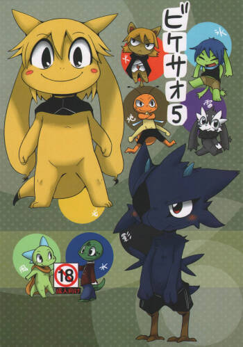 Bikesao 5 cover