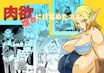 Nikuyoku ni Mezameta Elf cover