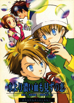 [BANANA SAKANA (Kasai Sakana)] Love without seeing blood thicker than water (Digimon Adventure 02)