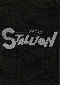 (C26) [BIBLE (Various)] STALLION (Various)