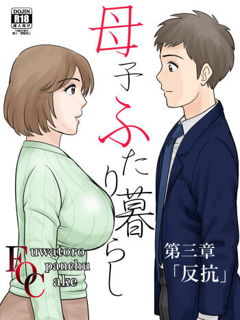 Boshi Futari Gurashi Dai San Shou 3 cover