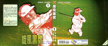 旋风黑鹰 cover