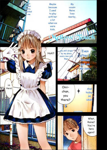 Mizumo Selection 4 ～Onichan to issho～ cover