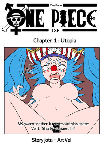 One Piece TSF cover