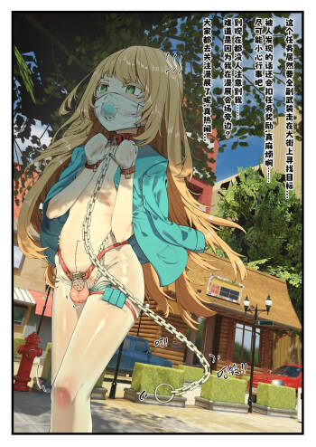 Feng's Public Restraint Assignment 1 cover