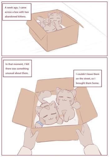 My Submissive Little Kitties cover