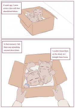 My Submissive Little Kitties