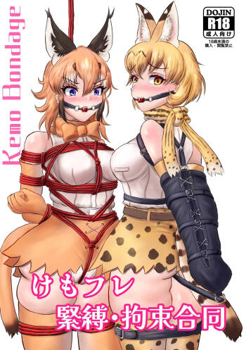 Kemo Fri kinbaku kousoku goudou cover