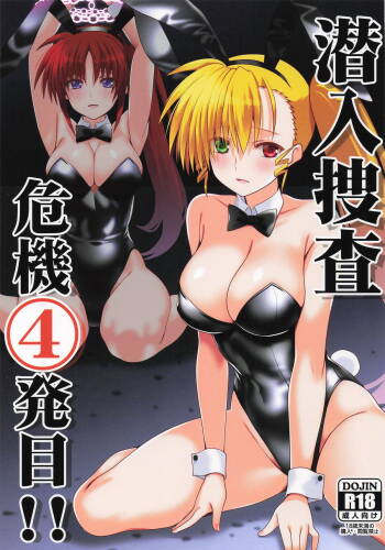 潜入捜査危機4発目 cover