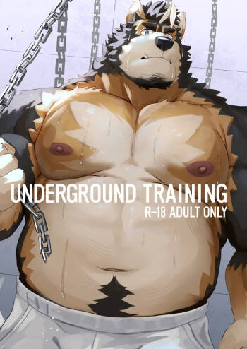 UNDERGROUND TRAINING 金卡个人汉化 cover