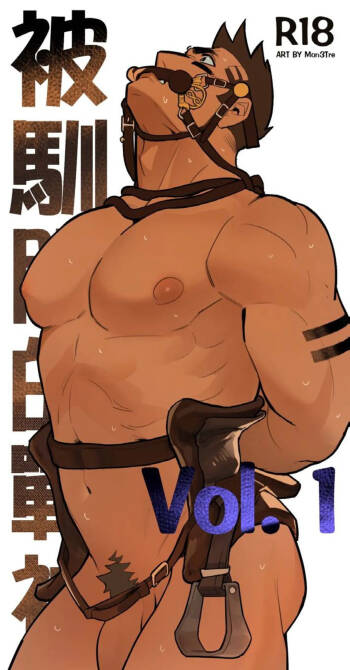 被驯服的战神 vol 1 cover