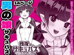 Seiya no Succubus | Hole night Succubus