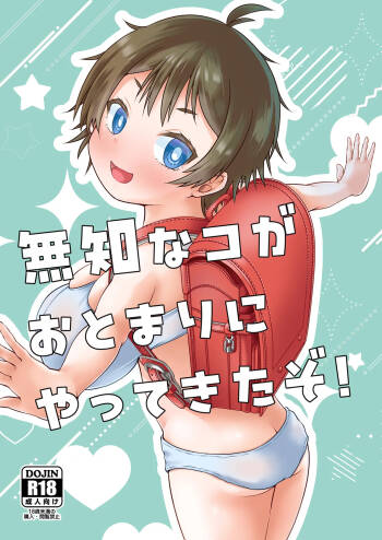 無知なコがおとまりにやってきたぞ！ cover