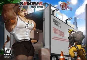 Summer splash 3 cover
