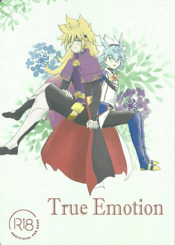 True Emotion cover