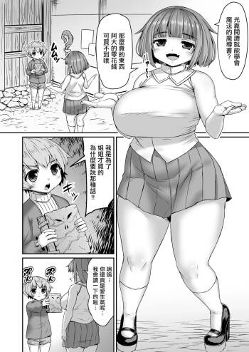 魔法の本で脳に無理やり情報書き込まれる姉 cover
