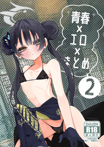 Seishun x Ero x Matome Hon 2 cover