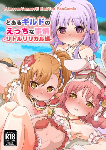 とあるギルドのえっちな事情-リトルリリカル編- cover