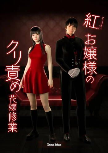 红お嬢様のkuri责め花嫁修业中国翻译 cover