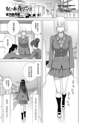 Watashi no O-ane-sama cover