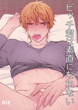 Bitchikun wa Sunao ni Narenai