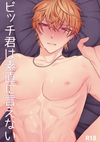 Bitchikun wa Sunao ni Ienai cover