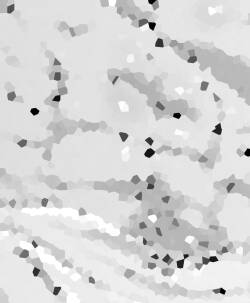 Appa Nado-rang Appa Domo