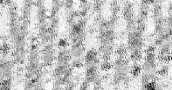 Reversal of Love  /EnG/