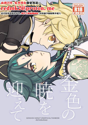 Kiniro no Akatsuki o Mukaete cover