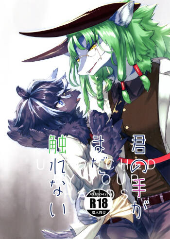 Kimi no Te ga Mada Sawarenai cover