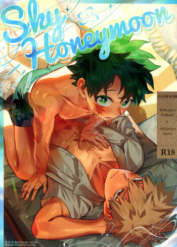SkyHoneymoon cover