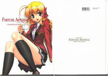 FORTUNE ARTERIAL PERFECT VISUAL BOOK cover
