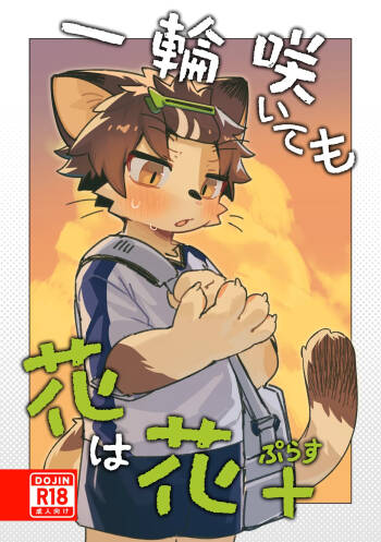Ichirin Saite mo Hana wa Hana + cover