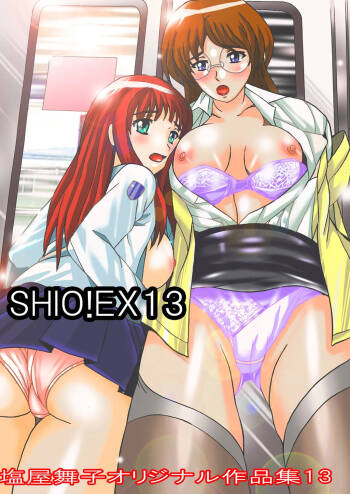 SHIO!EX 13 cover