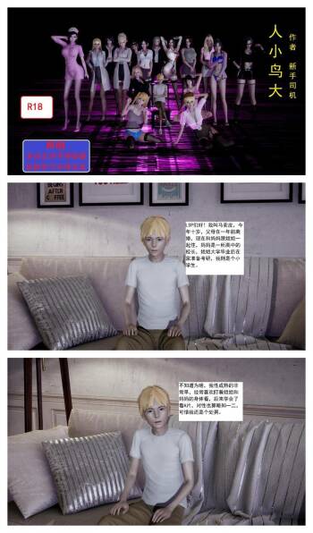 【新手司机】人小鸟大 01 - 11 + 番外篇 cover
