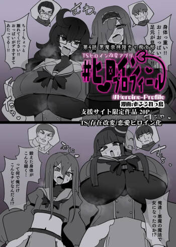Heroine Profile④ cover