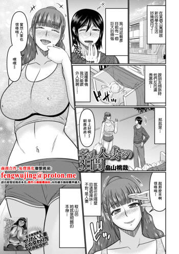 ギャル人妻との3日間 cover