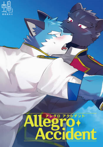 AllegroAccident cover