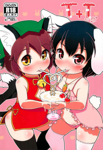 T+T cover