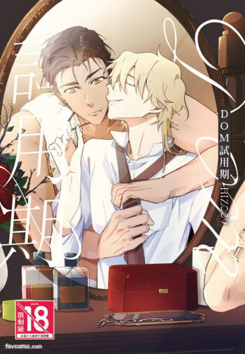 The Dom Trial Period︱Dom试用期 cover